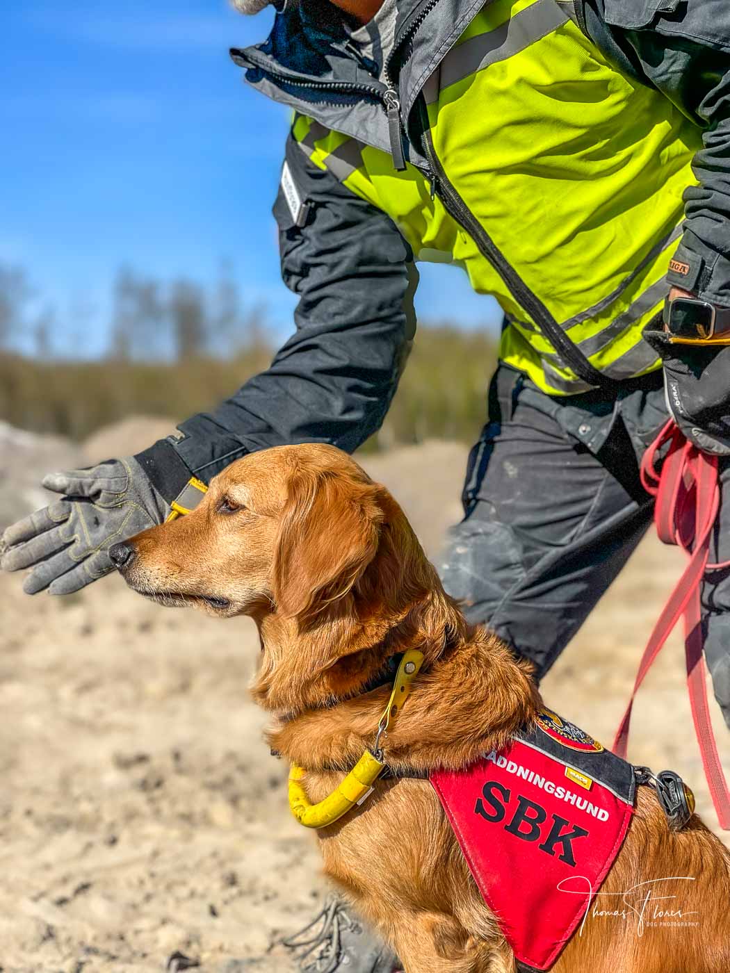 Mira som räddningshund